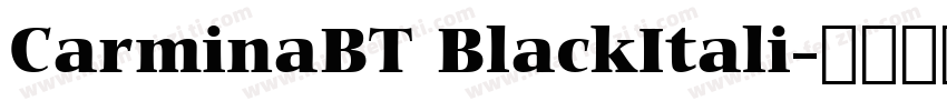 CarminaBT BlackItali字体转换
